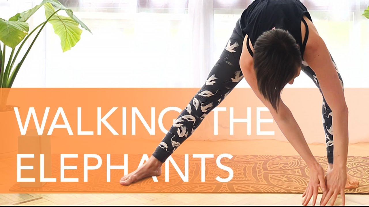 Walking the Elephants