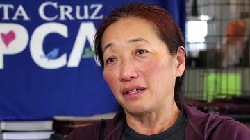 Photoshop Elements Presents Fur-tography