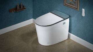 WOODBRIDGE GT091 Smart Bidet Toilet: Hands-Free, Aromatherapy, 7-Color LED screenshot 4