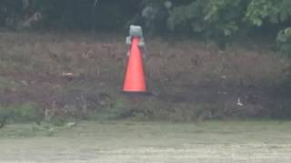 Frog V.S. Tannerite