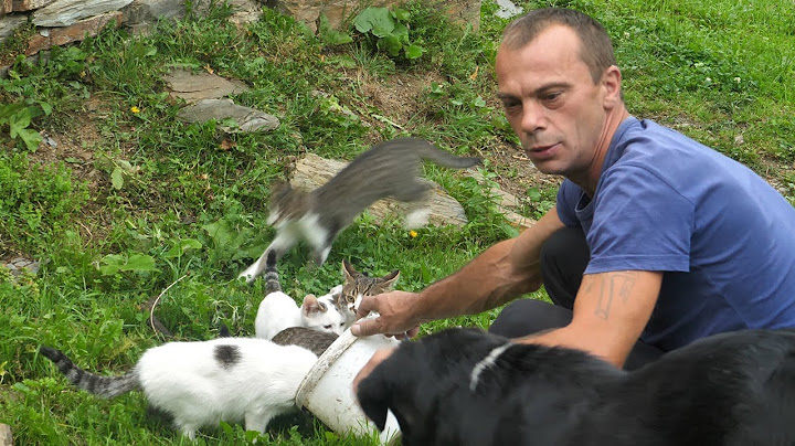 Dominku stiže struja a možda i mladenka