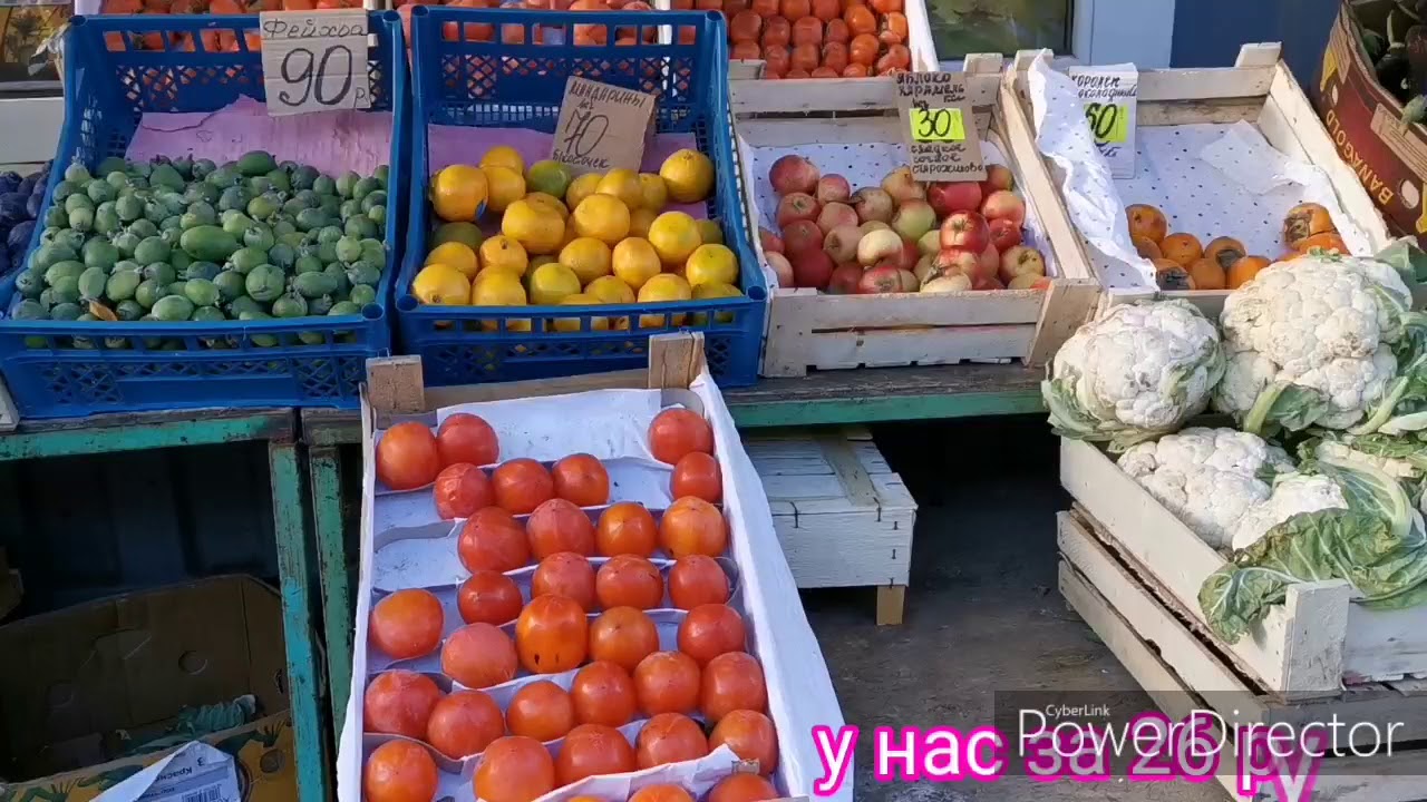 Магазин Одежды Рязань Дашки Песочня