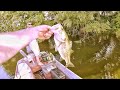Bass Fishing Cypress Trees Texas Rig