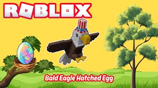 🦅 OP Bald Eagle Trick to Hatch Eggs SUPER FAST!