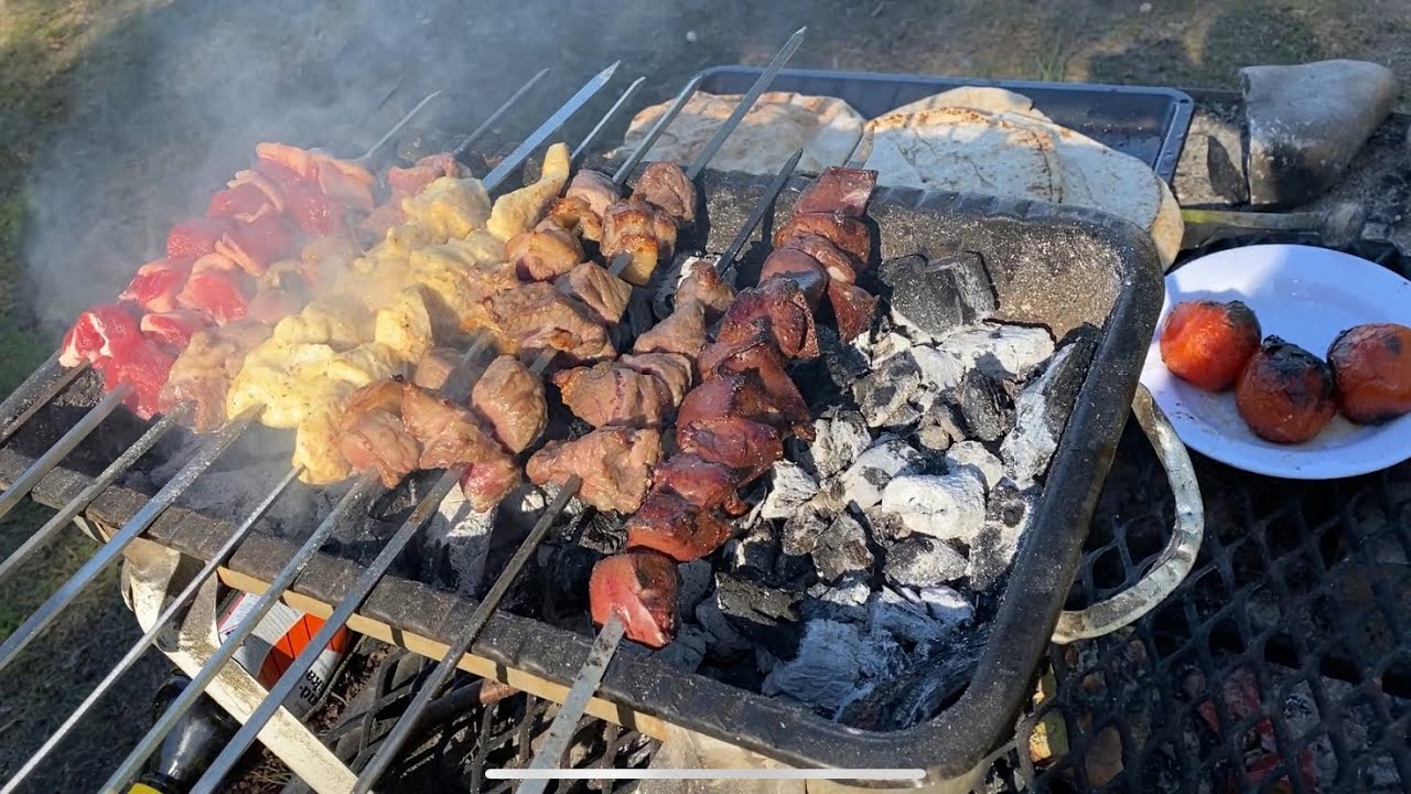 اطيب مشاوي مع كيكة الحليب التركيه ( التريليتشا)  واحلى سفرة بغابات السويد. 🇸🇪