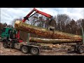 Nakladanie hrubých bukov s Tatra Phoenix / Lesovoz / Timber loading /Big Trees 🌳 / Working in forest