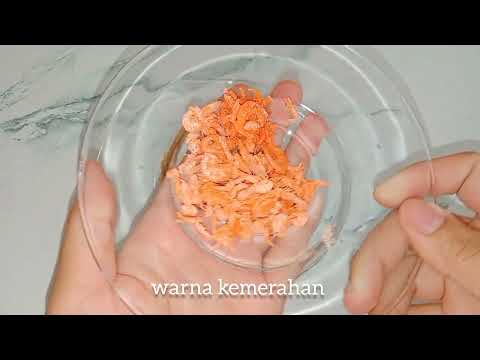 Udang Ebi