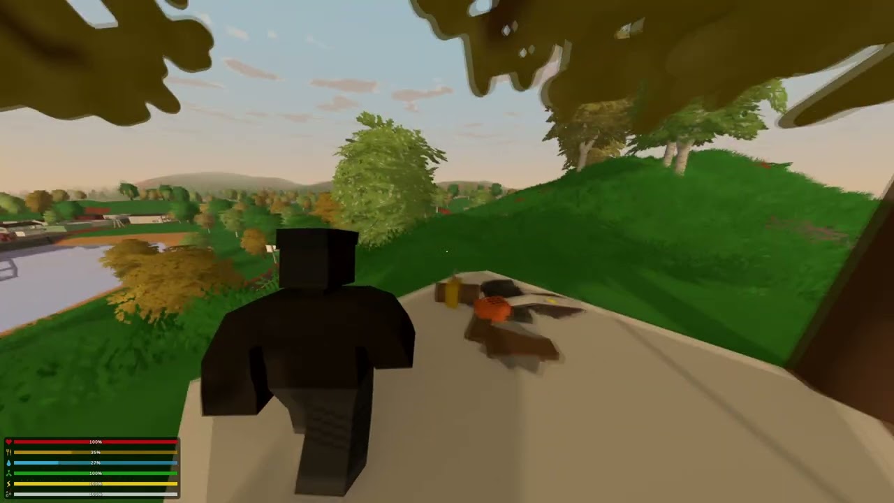 How to Enter Deadzone in Unturned