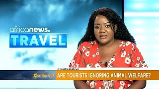 Are tourists ignoring animal welfare? [ Travel ]