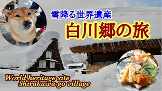 世界遺産白川郷と飛騨高山ステイ✨古き良き日本を味わう旅☃️【SUB】Japanese World Heritage Site; Shirakawa-go Village