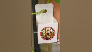 Spider mite control for your houseplants- without the use of chemicals!