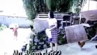 Upik isil , ma ayam den ? 😂😂