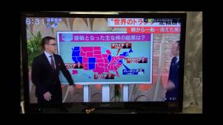 Enter Japan 11.13.16 | Fushimi Inari & Donald Trump