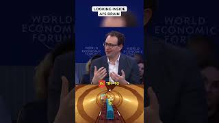 Looking Inside AI's Brain