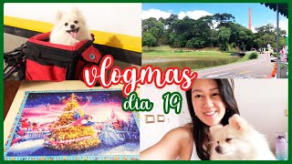 VLOGMAS DIA 19 | 2021 ️ bici e terminei a pintura de diamantes ️ Lari Oyama