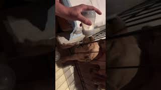 IMG 5898