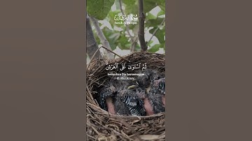 تلاوة خاشعة تريح القلب ❤️🤲