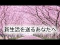 【新生活を送るあなたへ】ショート法話