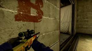 Procheck Insane Awp Ace