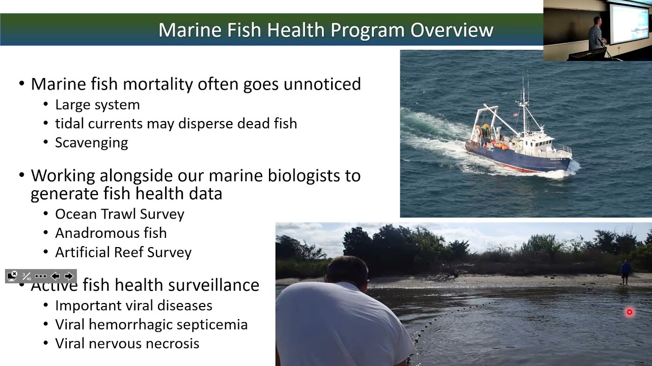 SoMAS - Parasite Ecology in Marine Finfish: From Pathology to Understanding Life Cycle Dynamics