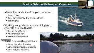 Somas  Parasite Ecology In Marine Finfish From Pathology To Understanding Life Cycle Dynamics