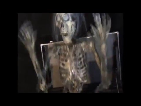 Skeleton Trunk Surprise