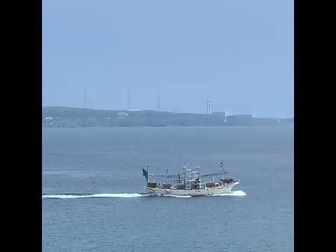 イカ釣り漁船 一斉出漁 Youtube