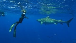 Shark Whisperer Ocean Ramsey revealed
