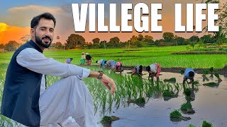 Village Life Kile Wal Jwan Travel With Izhar
