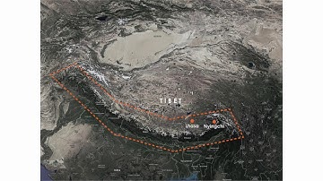 Current Work: Zhang Ke
