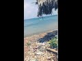 اجمل اطلالة من شاطئ البصيرة 😍😍