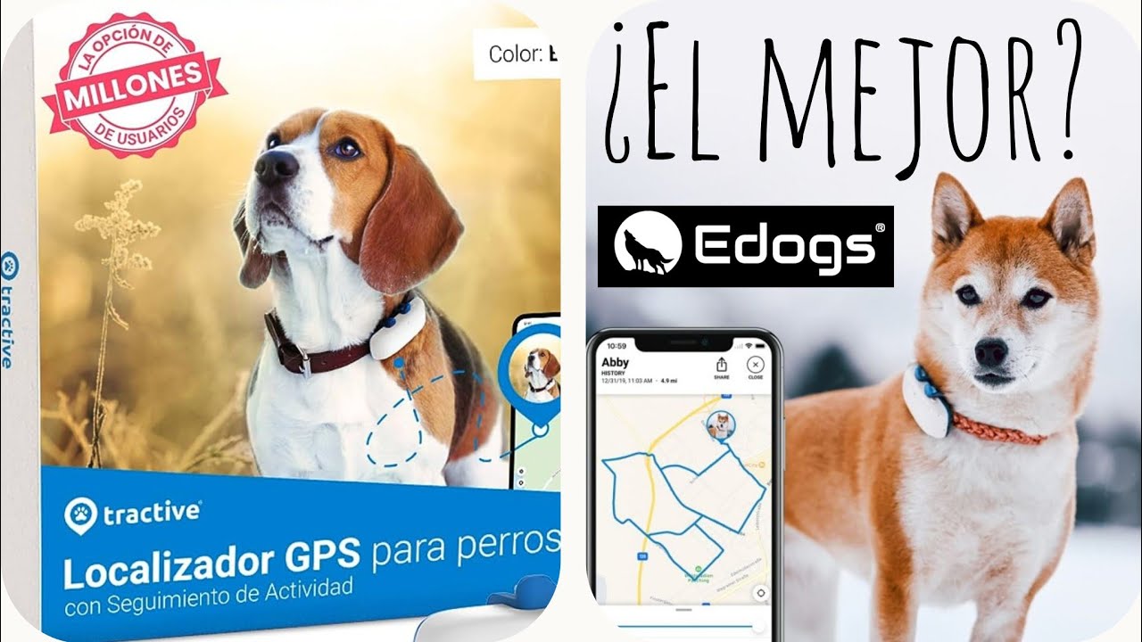 🔵¿El mejor GPS para perros del mercado? TE LO CUENTO TODO - GPS