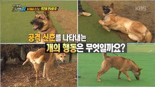 [HIT] 공격신호를 나타내는 개의 행동은.20150209
