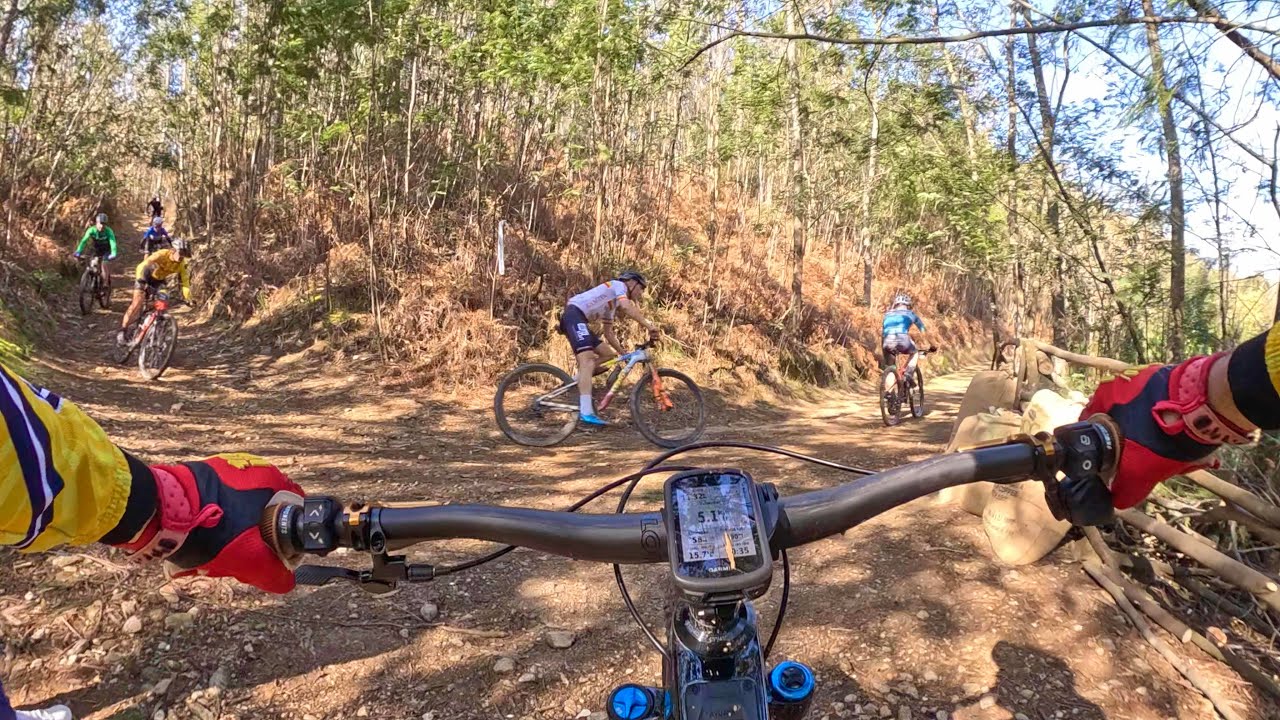 Da Zona Industrial para o Rio Antuã
