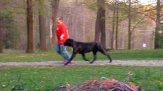 DSCF7066.AVI
