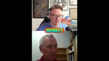 Designed or Evolved? The Truth Behind Nested Hierarchies