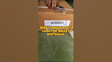 BEEF TONGUE ROOT LOCKYER VALLEY AUSTRALIA ‼️ #shorts #beef #meat #australia #shortvideo