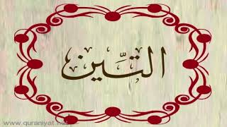 الشيخ عبدالله الموسى - سورة التين