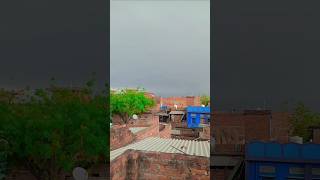 gaon ka Mausam#shorts#video#vital#popular#trendy#video😎😎