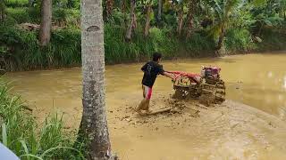 Petani Memajak Sawah Yang Hijau