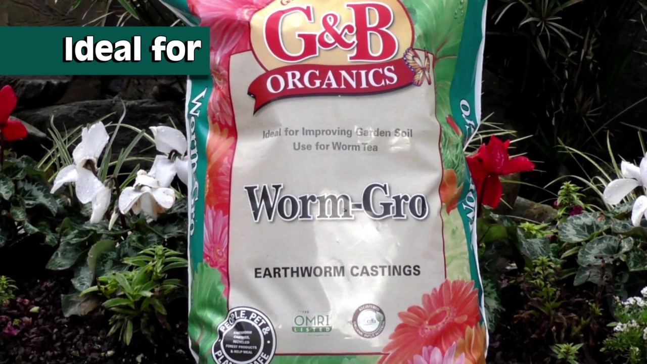 GBO Worm gro