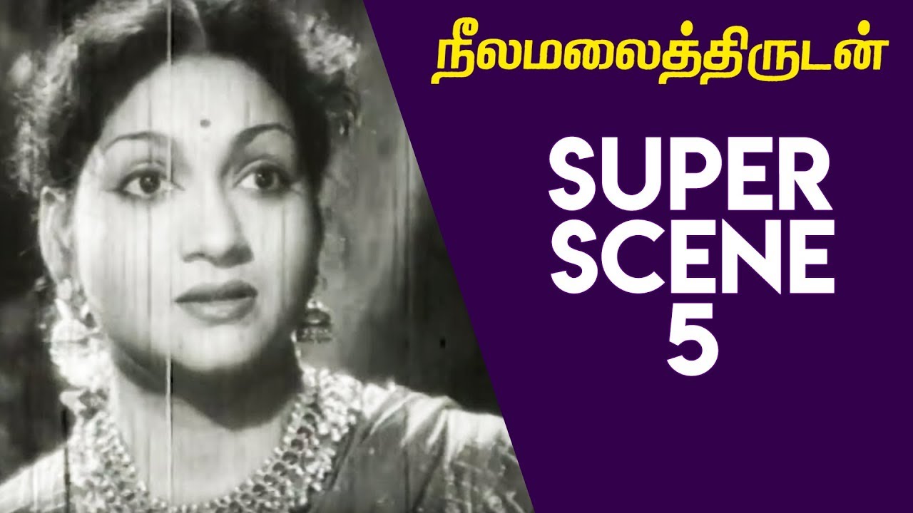 Neelamalai Thirudan - Super Scene 5 | Ranjan | Anjali Devi | P. S. Veerappa | K. A. Thangavelu