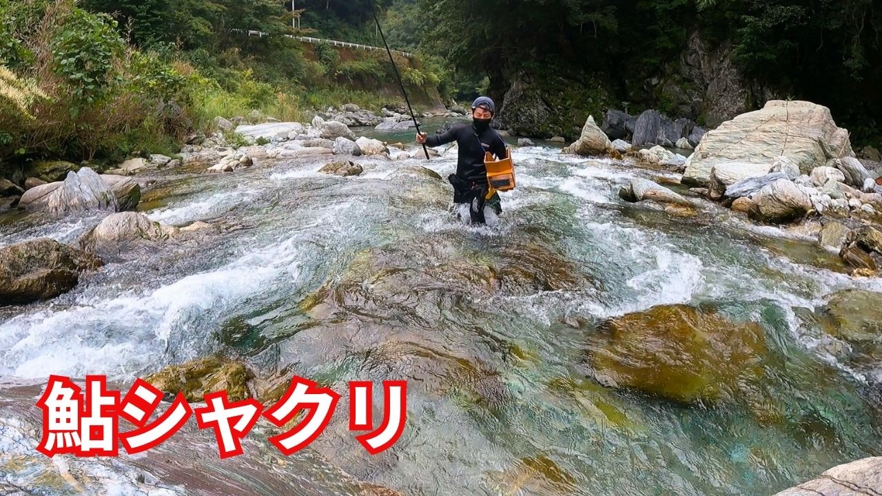 シーズン中盤！透明度の高い清流で激渋の鮎を追い回す