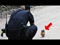 Baby Owl Keeps Following Officer For Help - When She Realizes Why, She Bursts Into Tears
