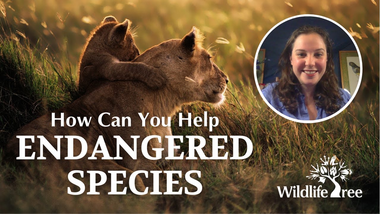 Endangered Species Day - YouTube