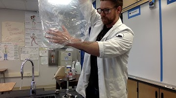 Amplify Science Weather Patterns 2.1 Demo