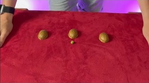 Beat the cheat. 7 rounds of the pea & shell game.