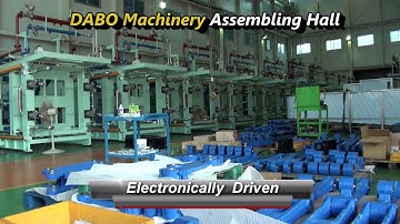 002. Dabo EPS EPP Machine (Electric Drive Toggle System)