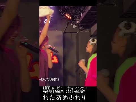 わたあめふわり LIFE 2024 06 07 