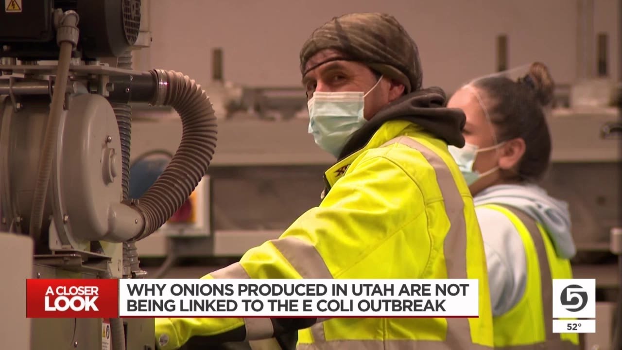 Why onions from Utah aren’t being linked to the E. coli outbreak